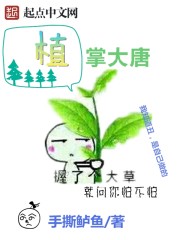 唐家三少最新小说